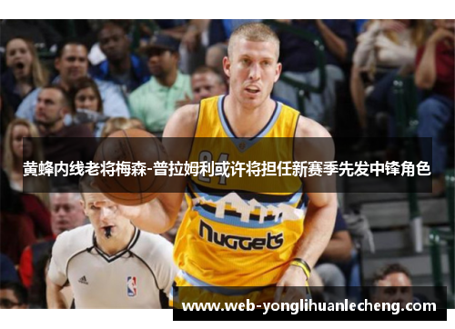 黄蜂内线老将梅森-普拉姆利或许将担任新赛季先发中锋角色